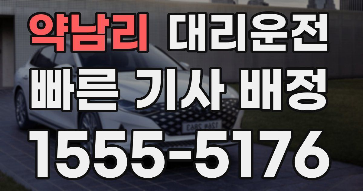 일일대리기사