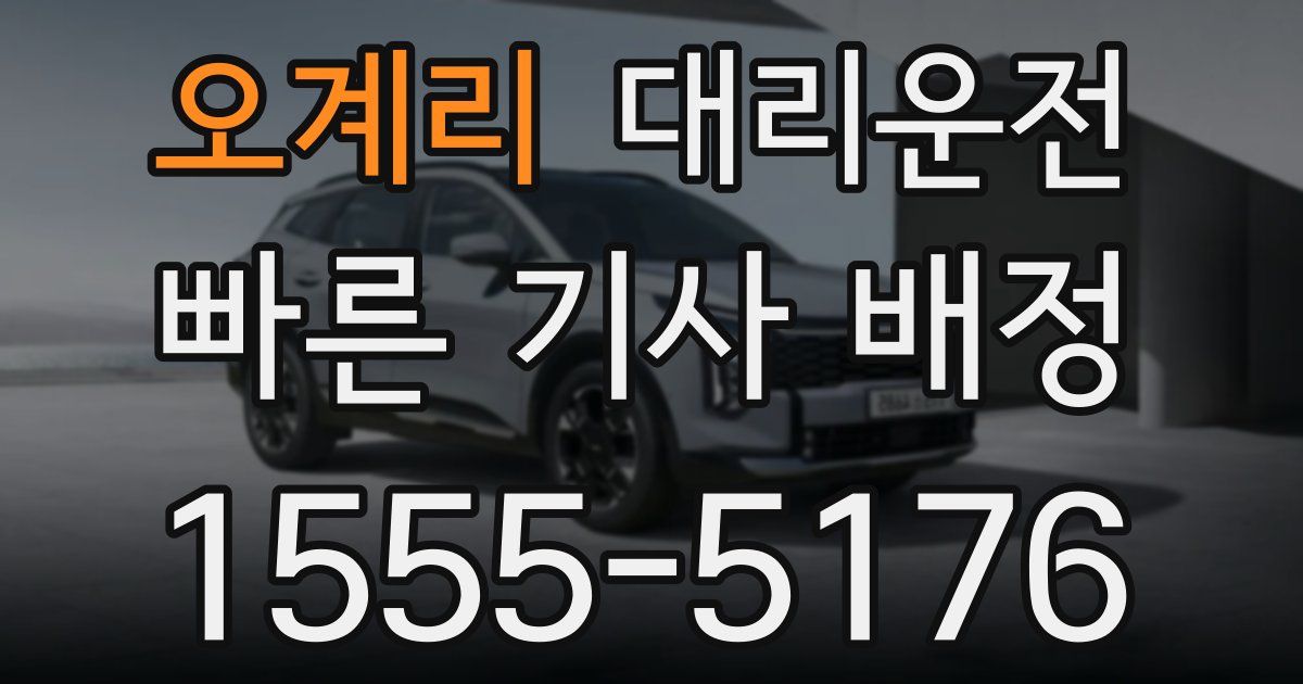 일일대리기사