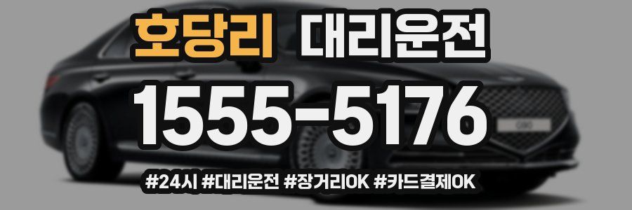 호당리 대리운전