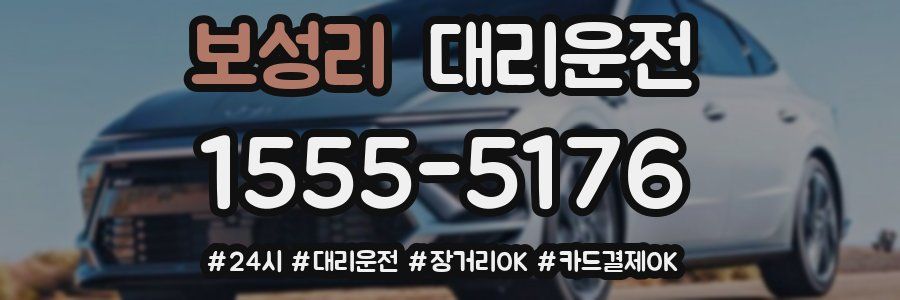 보성리 대리운전