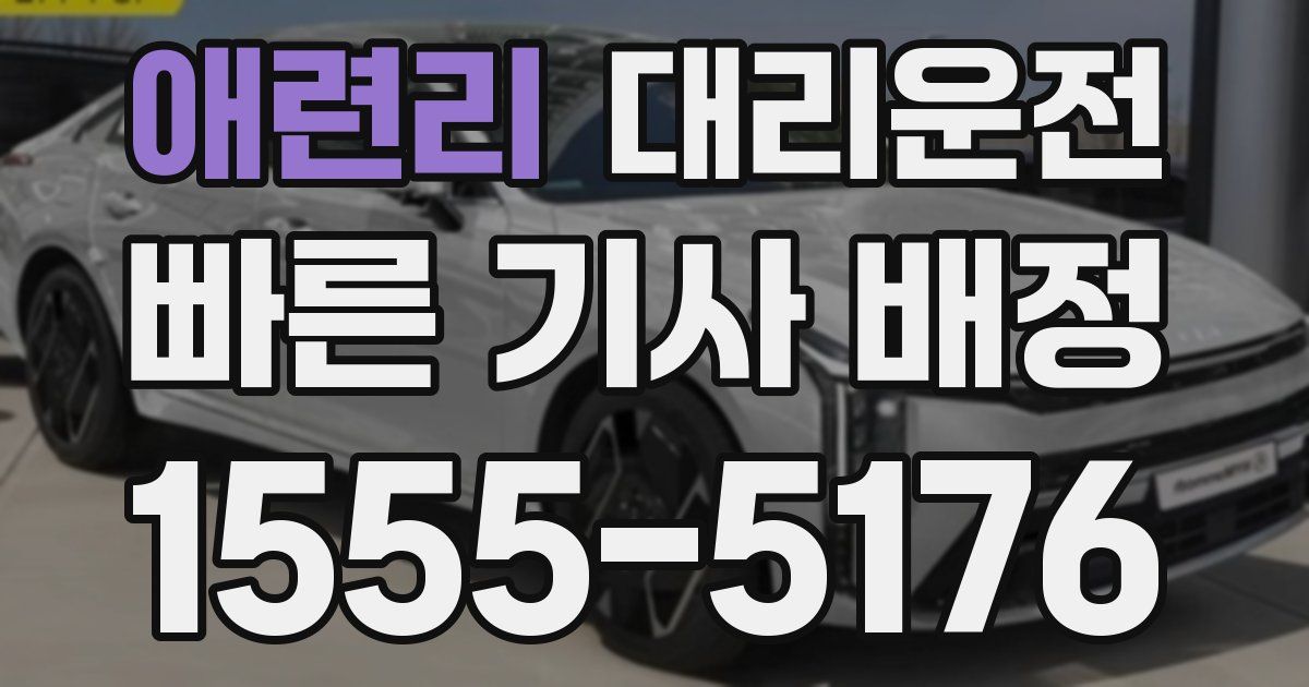 일일대리기사