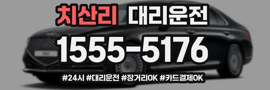 치산리 대리운전