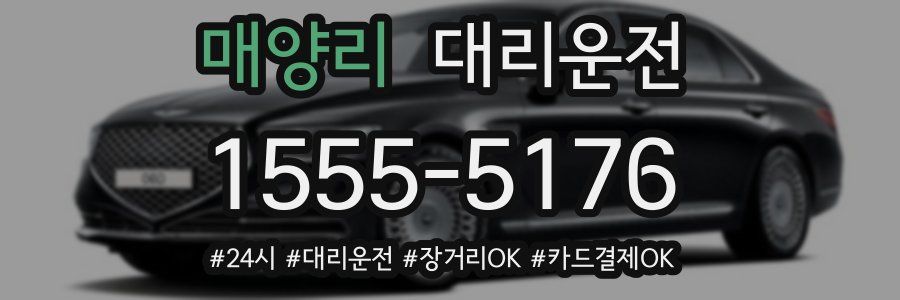 매양리 대리운전
