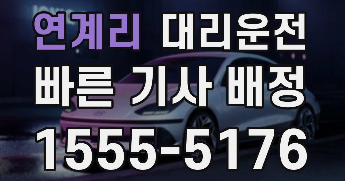 일일대리기사