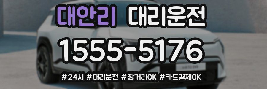 대안리 대리운전