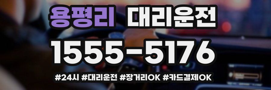 용평리 대리운전