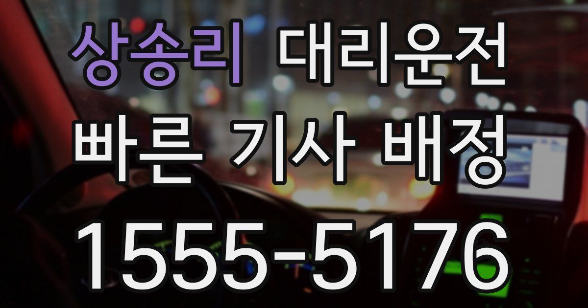 일일대리기사