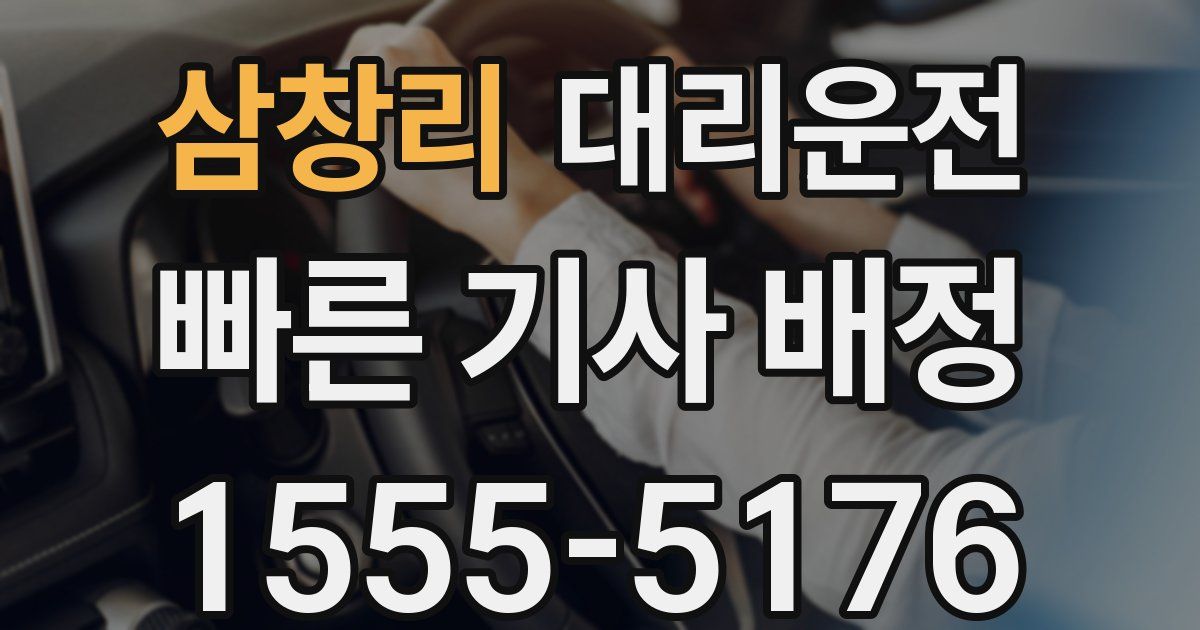 일일대리기사
