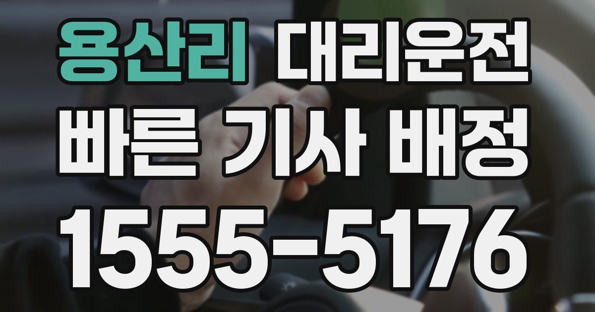 일일대리기사