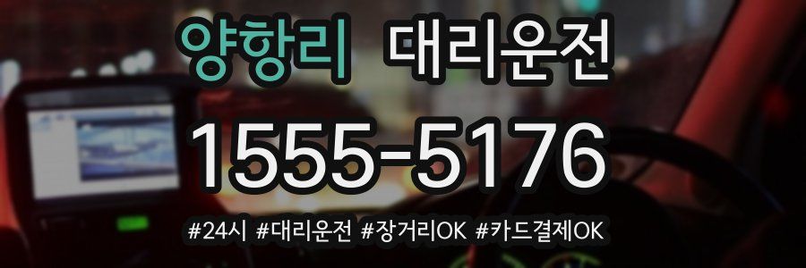 양항리 대리운전