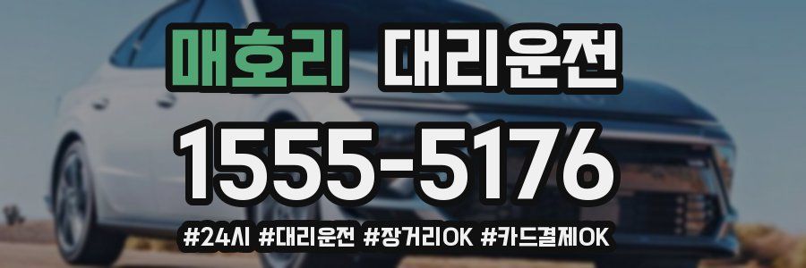 매호리 대리운전