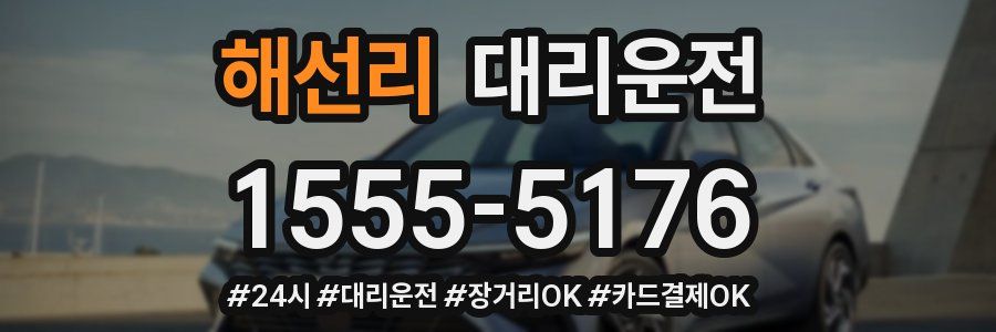 해선리 대리운전