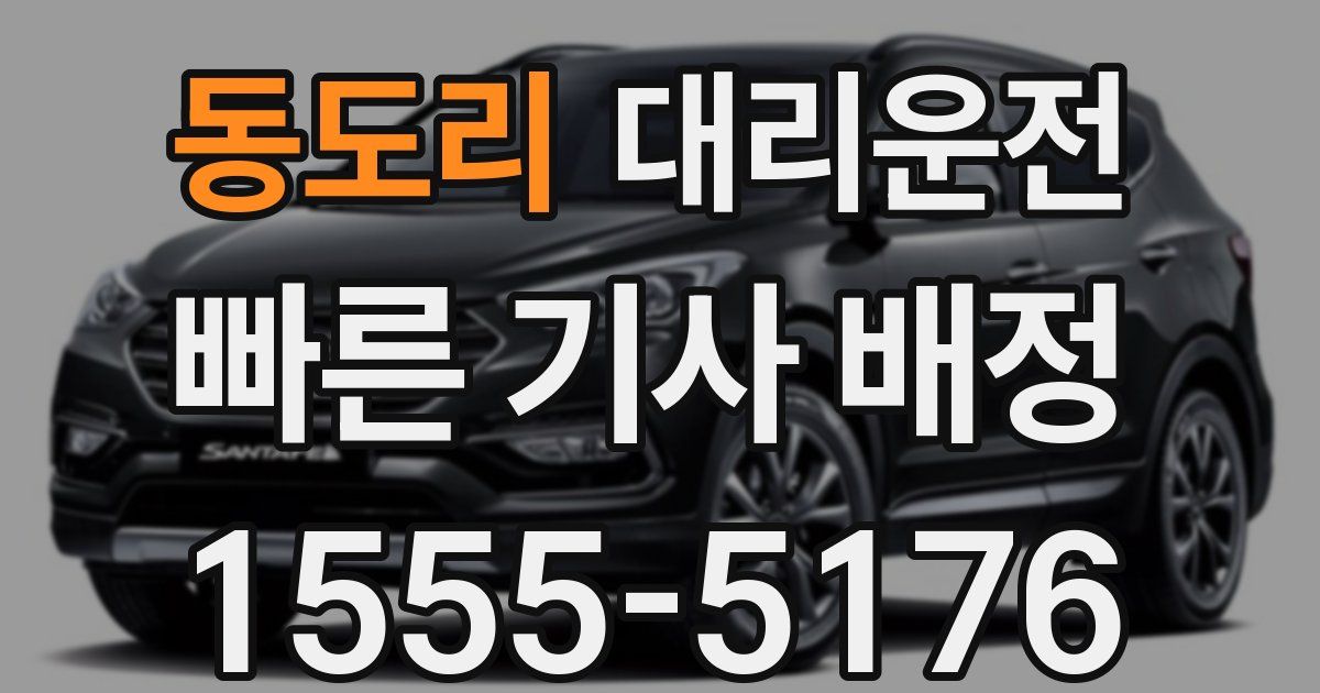 일일대리기사