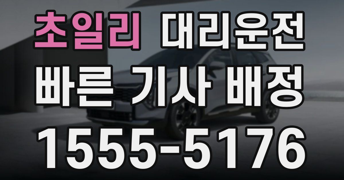 일일대리기사