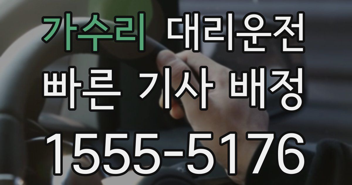 일일대리기사