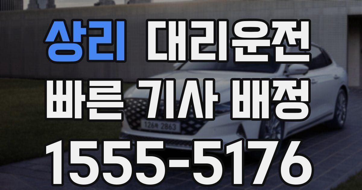 일일대리기사
