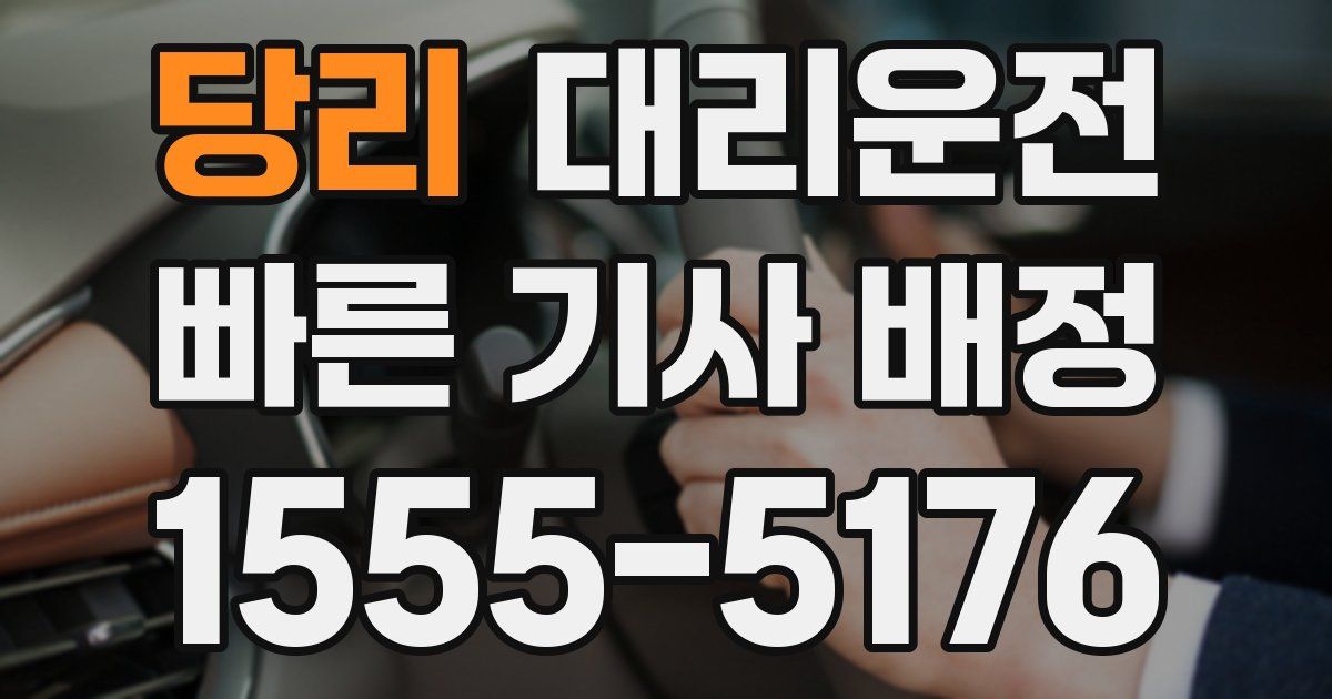 일일대리기사