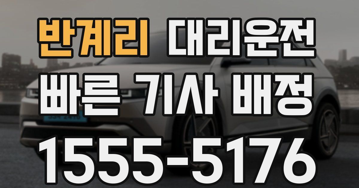 일일대리기사