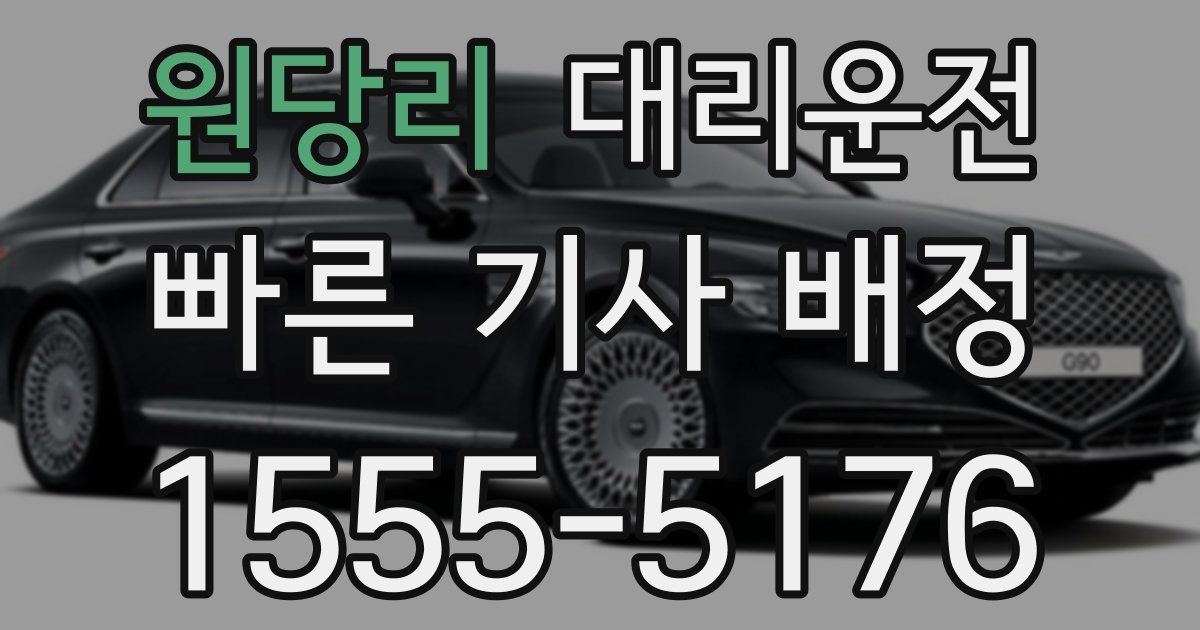 일일대리기사