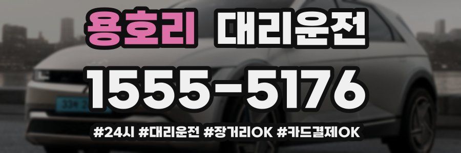 용호리 대리운전