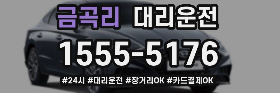 금곡리 대리운전