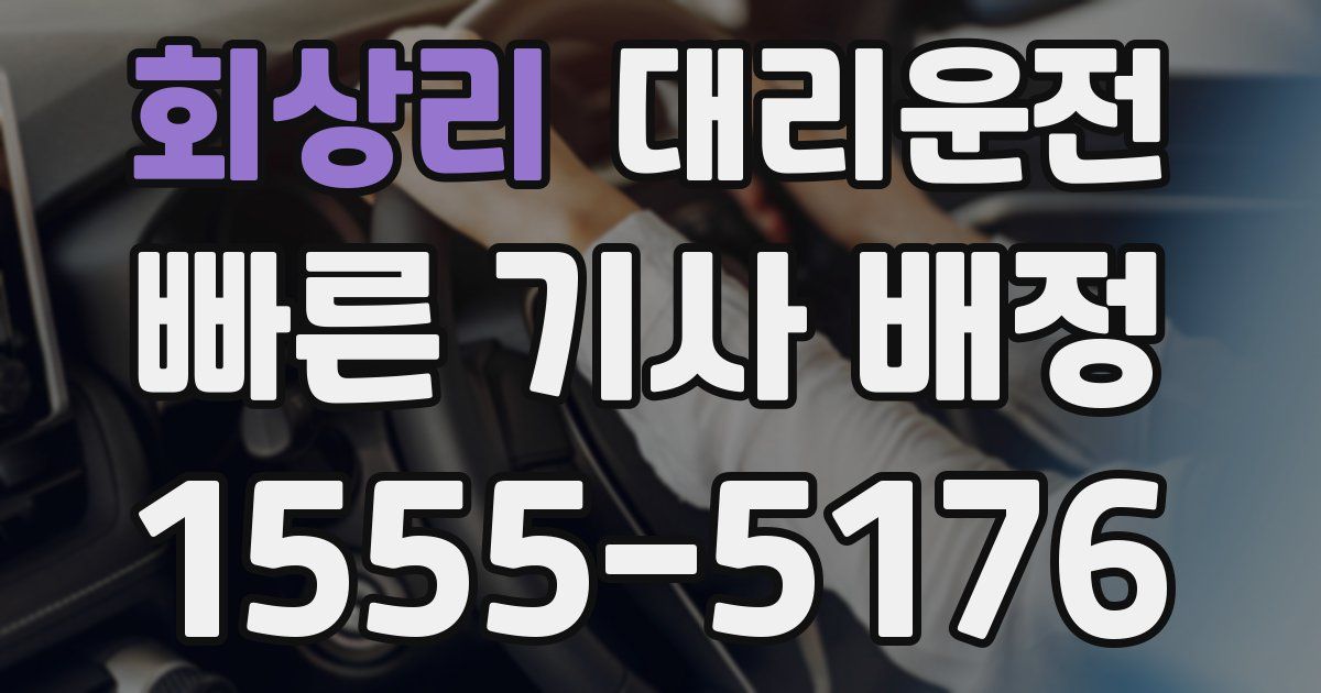 일일대리기사