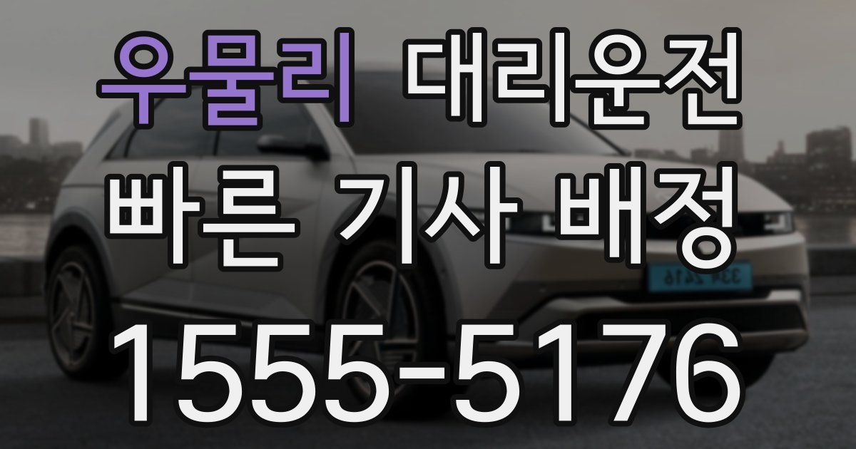 일일대리기사