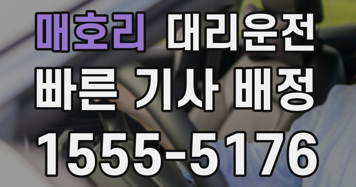 일일대리기사