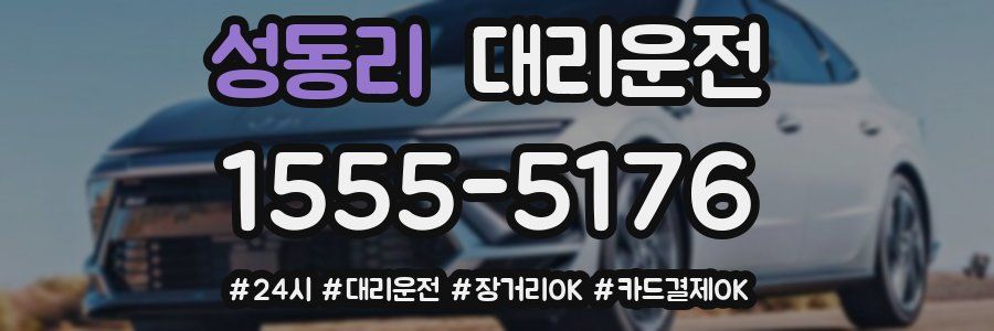 성동리 대리운전