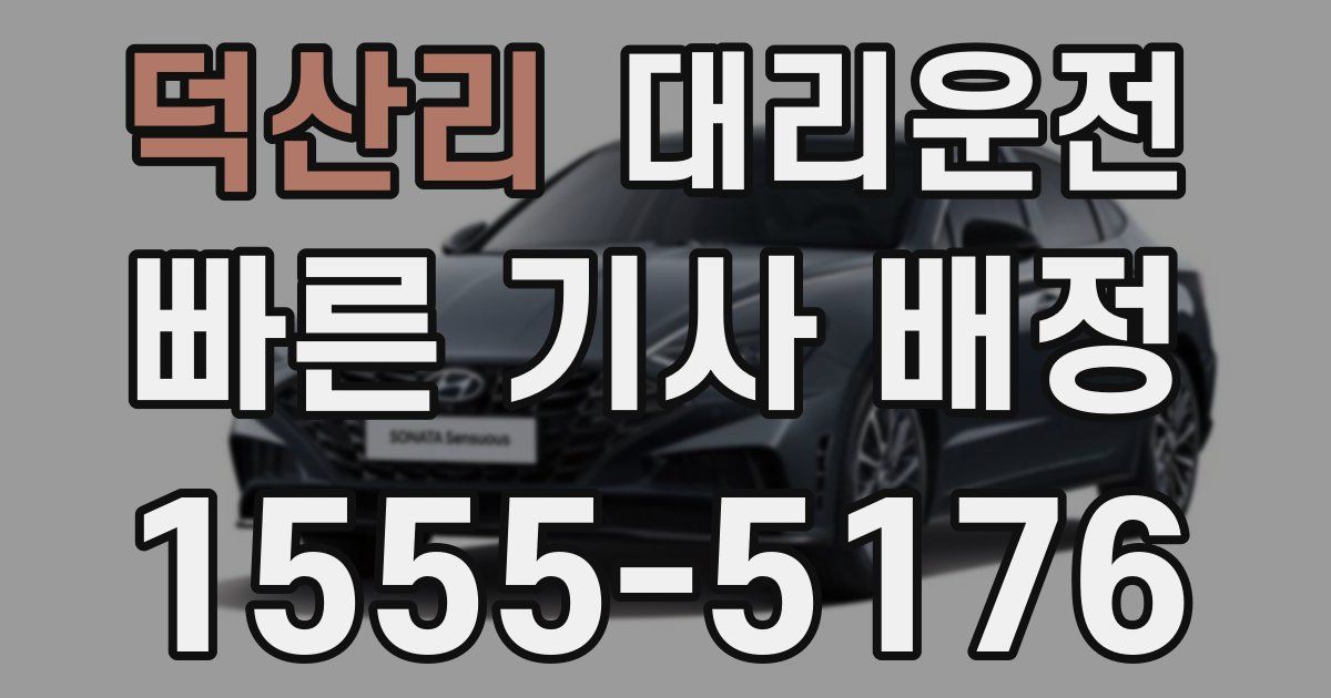 일일대리기사