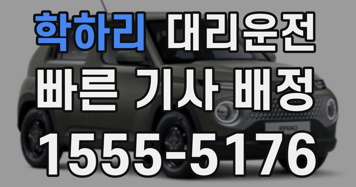 일일대리기사