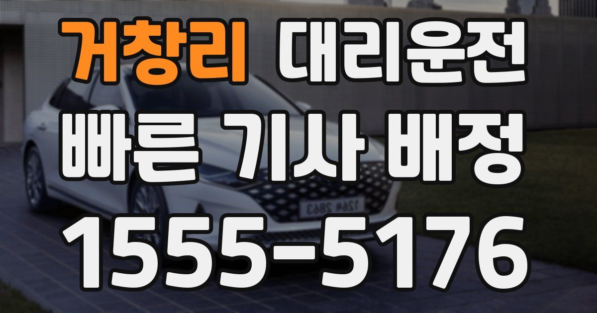 일일대리기사