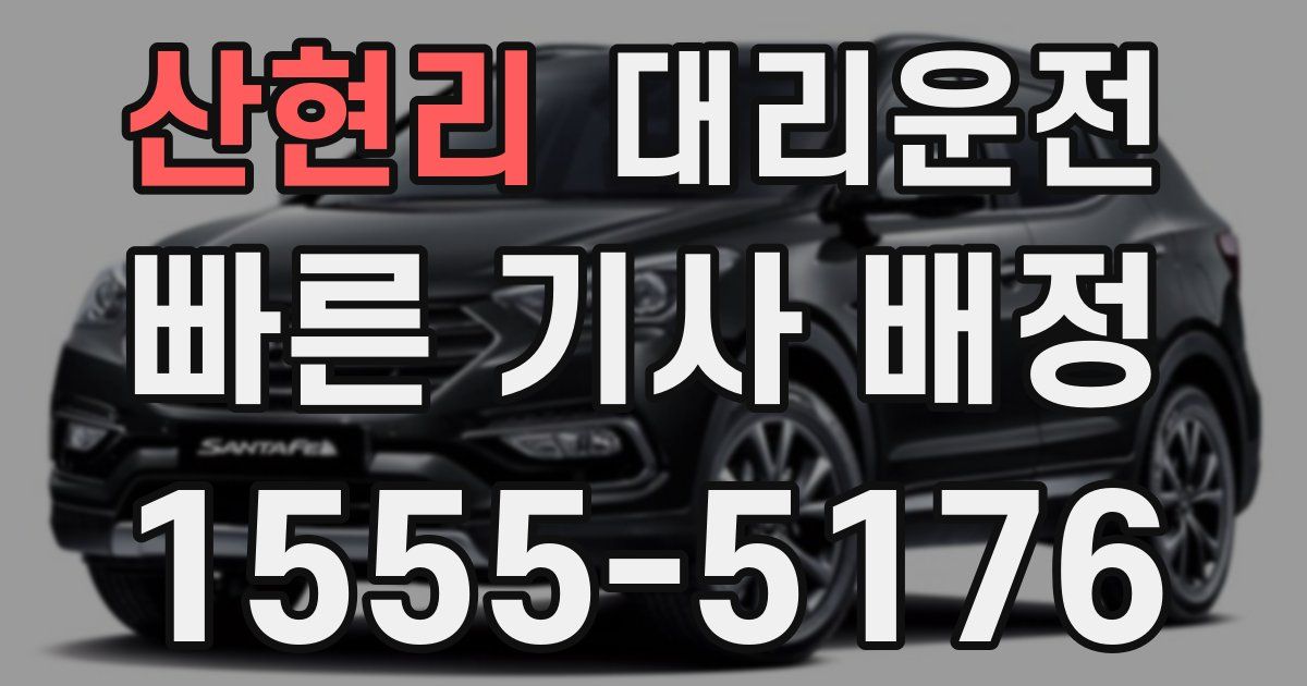 일일대리기사