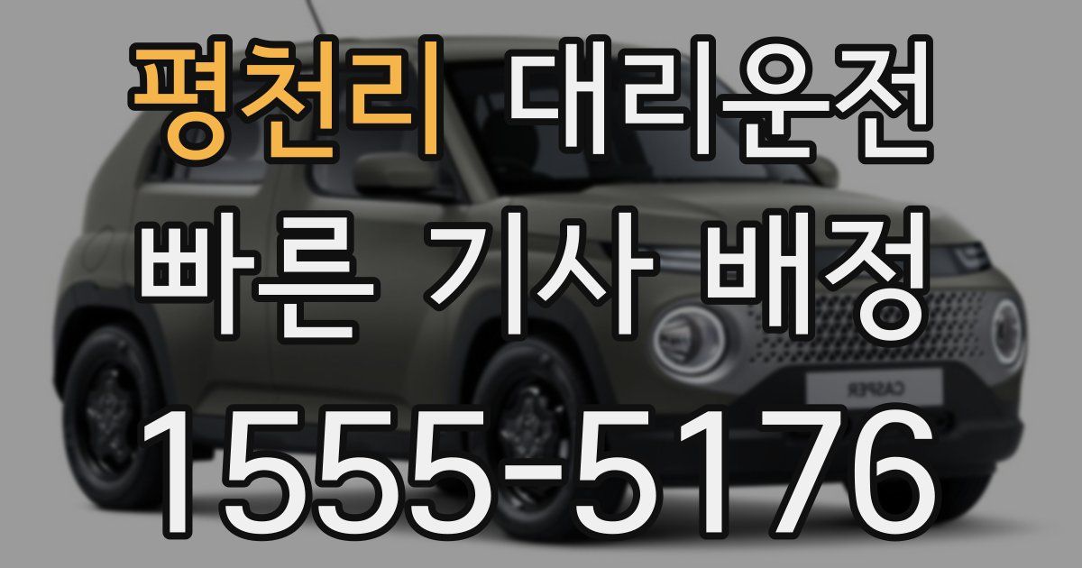 일일대리기사