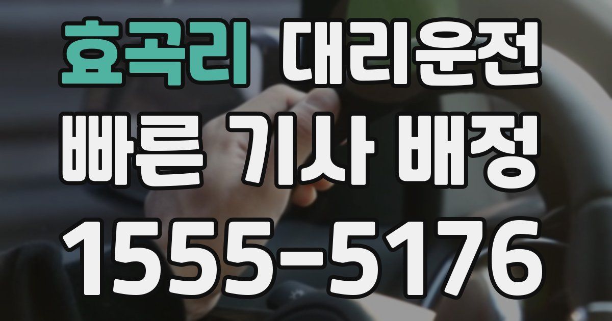 일일대리기사
