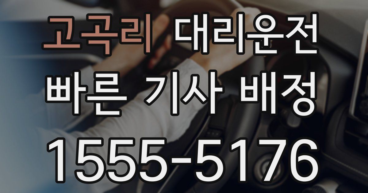 일일대리기사
