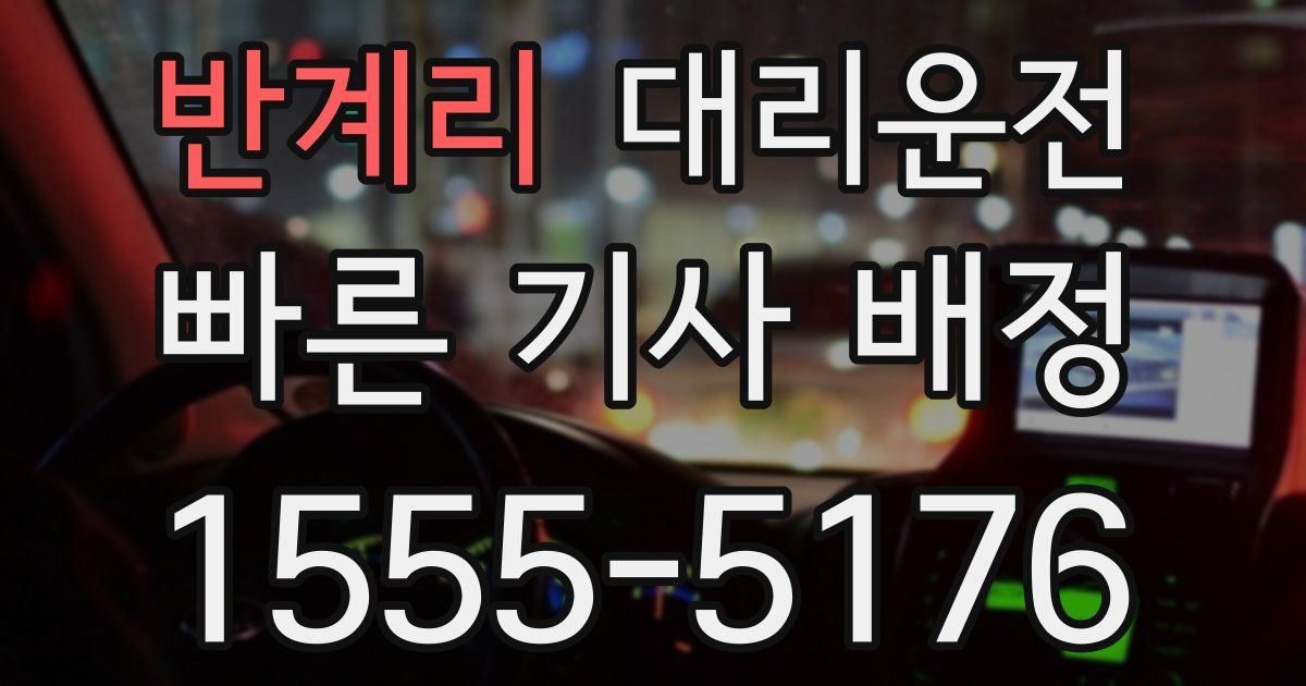 일일대리기사
