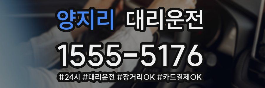 양지리 대리운전