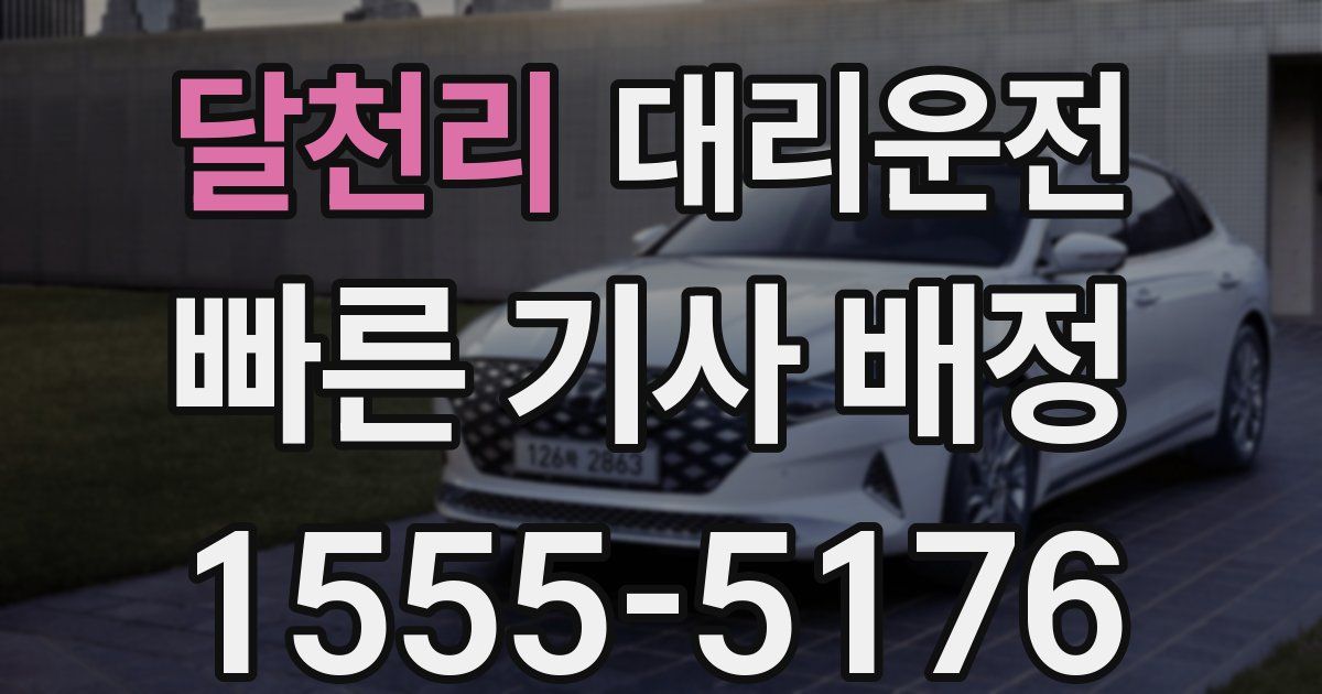 일일대리기사