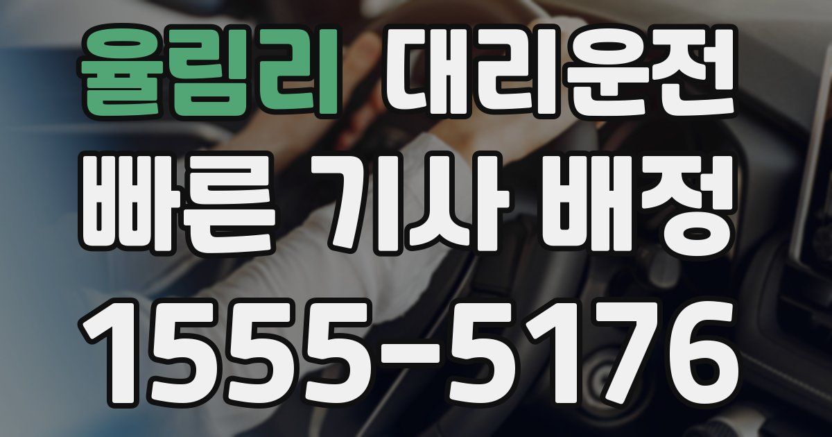 일일대리기사