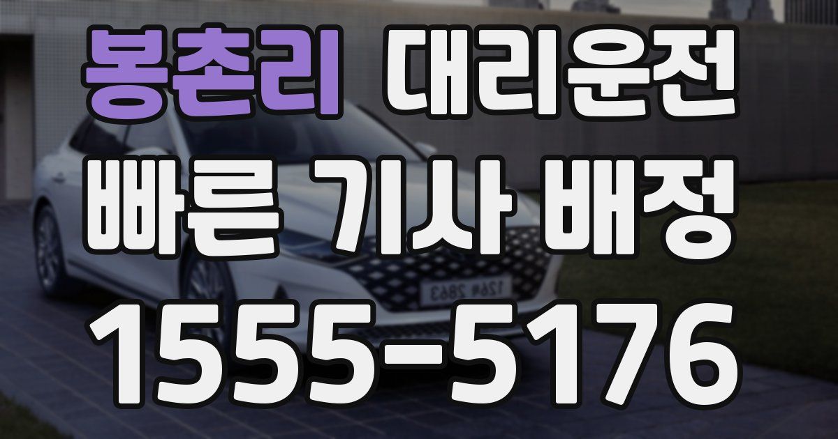 일일대리기사