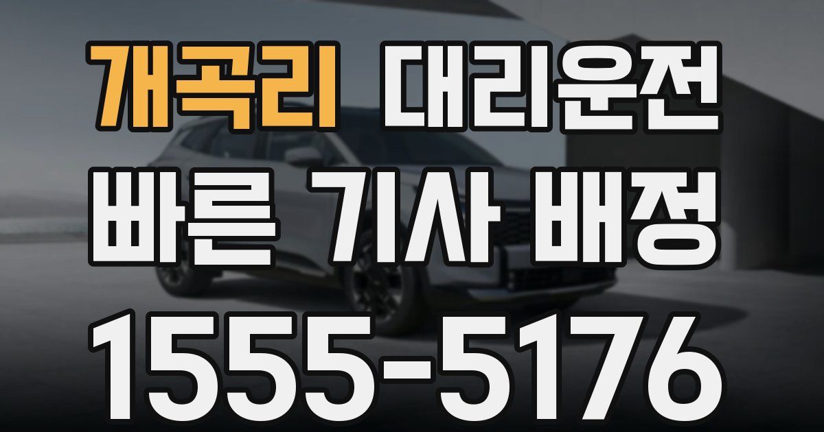 일일대리기사