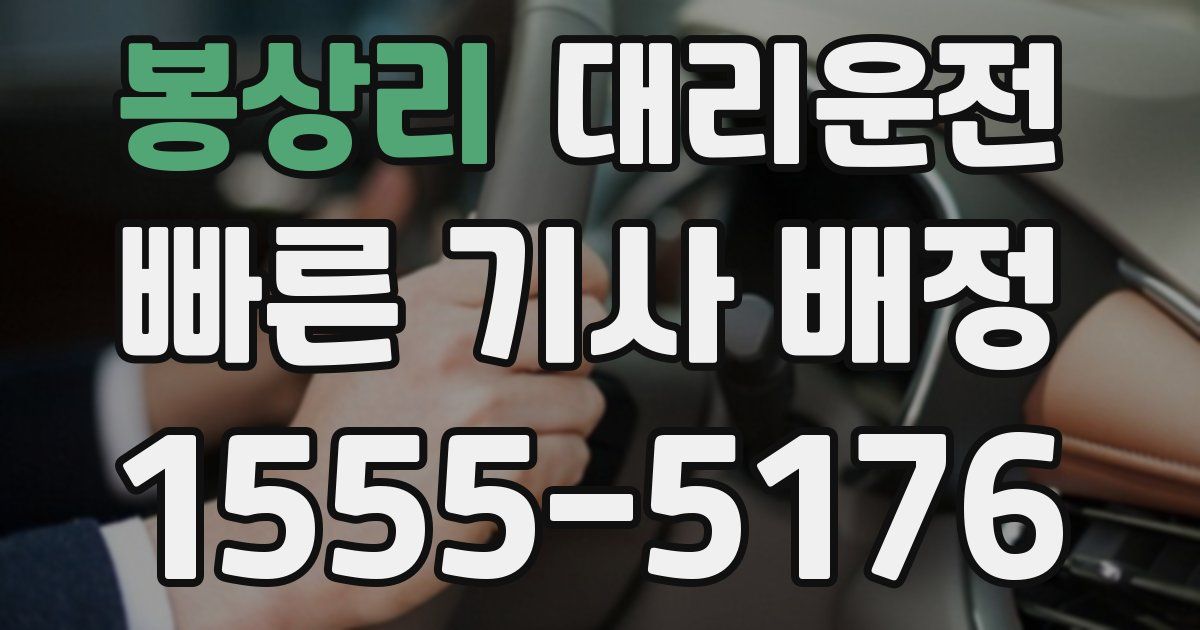 일일대리기사