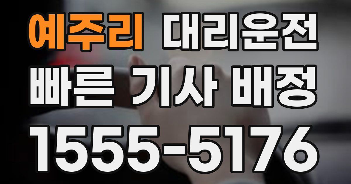 일일대리기사