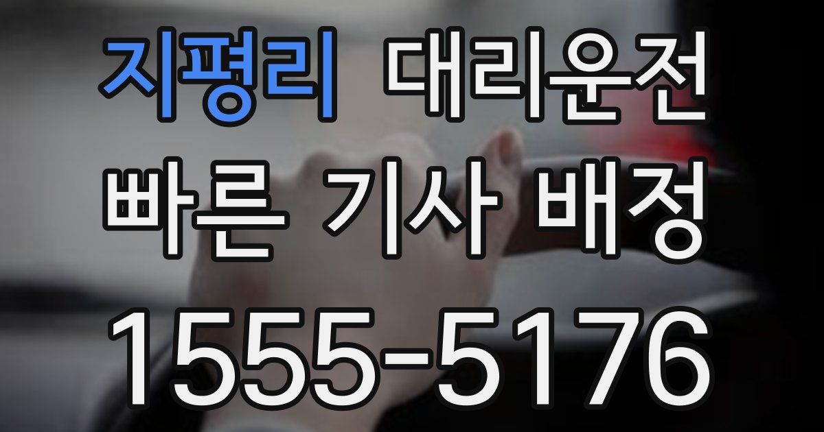 일일대리기사