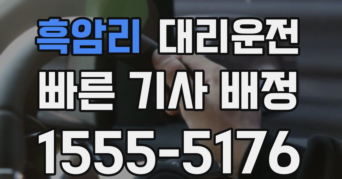 일일대리기사