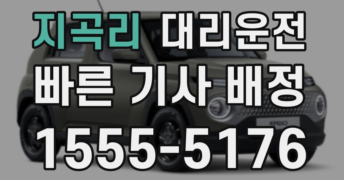 일일대리기사