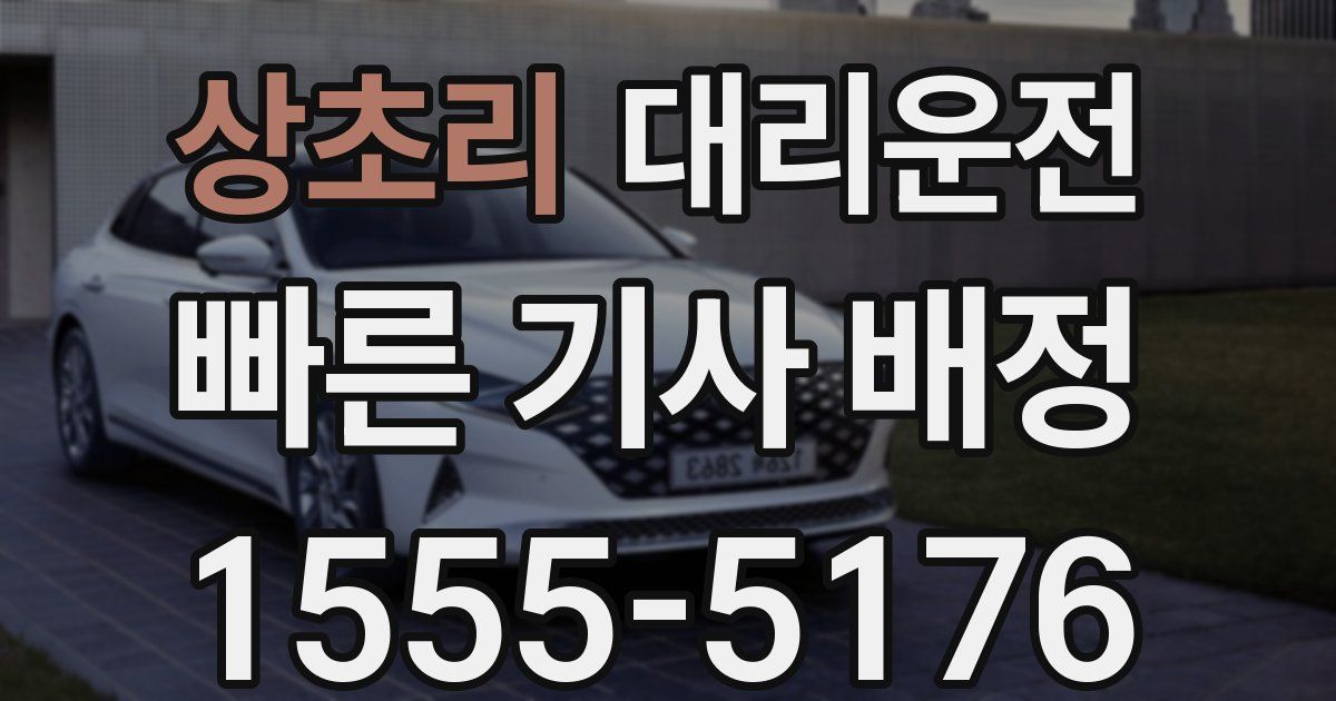 일일대리기사