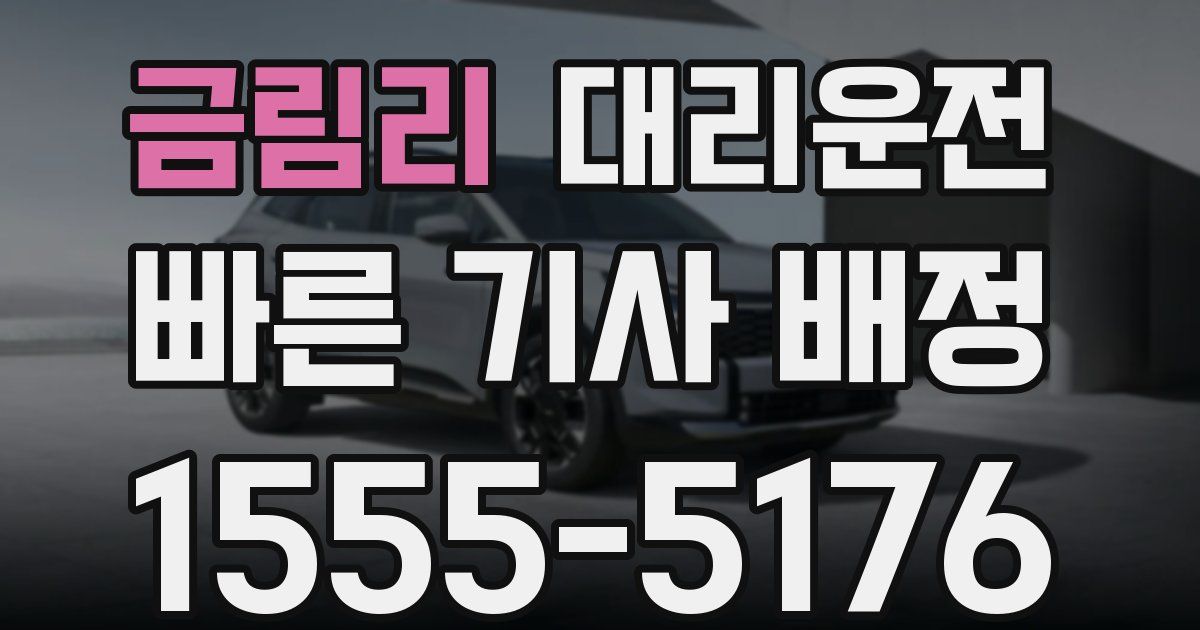 일일대리기사
