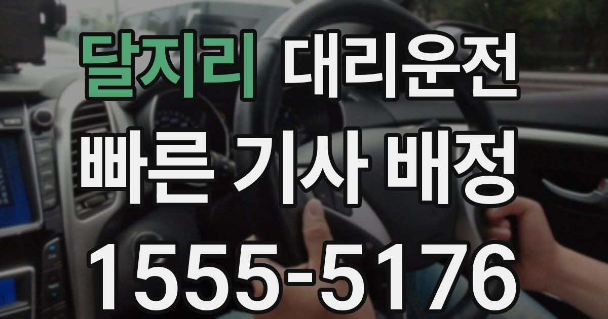 일일대리기사